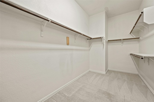 spacious closet featuring light colored carpet