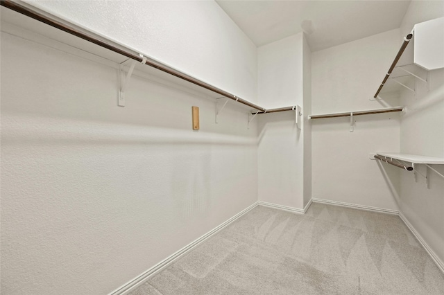 13108 Craven Ln, Manor, TX 78653 - spacious closet with light colored carpet