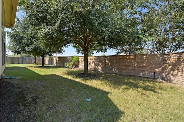 13108 Craven Ln, Manor, TX 78653 - view of yard