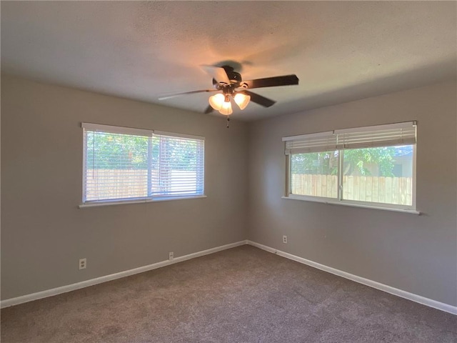 7000 Bryn Mawr Cv, Austin, TX 78723 - photo 9
