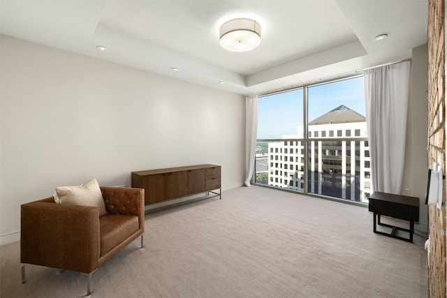 living area featuring light carpet and a raised ceiling