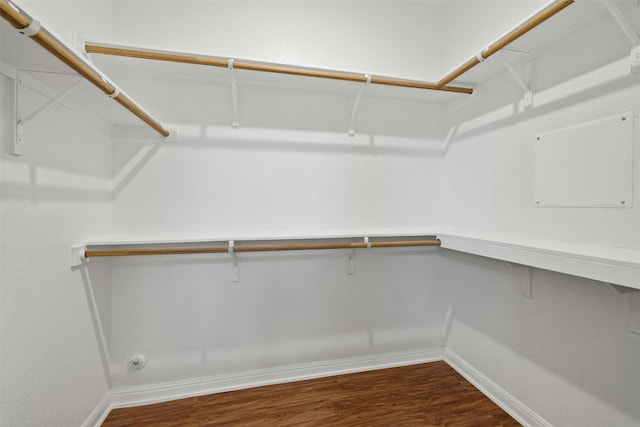 walk in closet with dark hardwood / wood-style floors