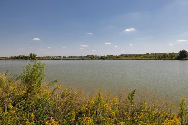 3017 Settlement Dr Unit 30, Round Rock, TX 78665 - water view