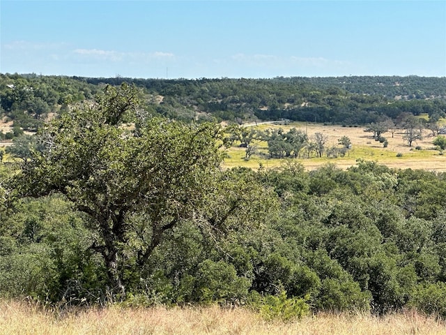 Listing photo 3 for 1058 Jacob, Fredericksburg TX 78624