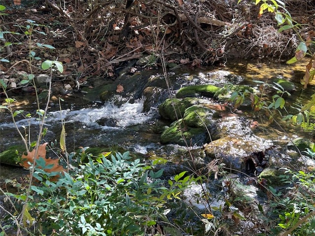 view of local wilderness