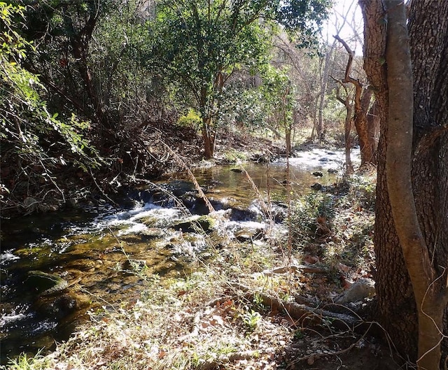 view of local wilderness featuring a view of trees