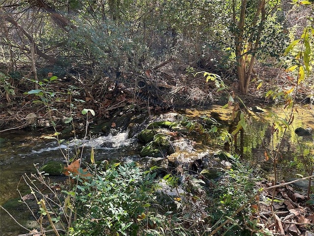 view of local wilderness with a view of trees