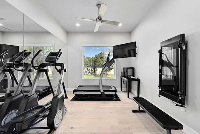 workout room with hardwood / wood-style floors and ceiling fan