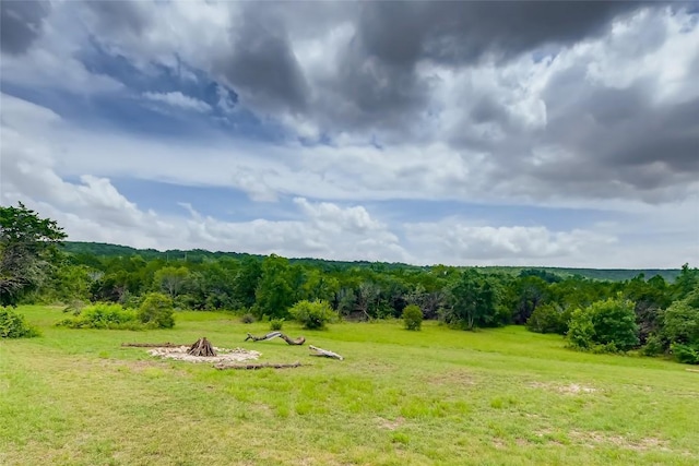 22303 Honeycomb Ln, Leander, TX 78641 - photo 12
