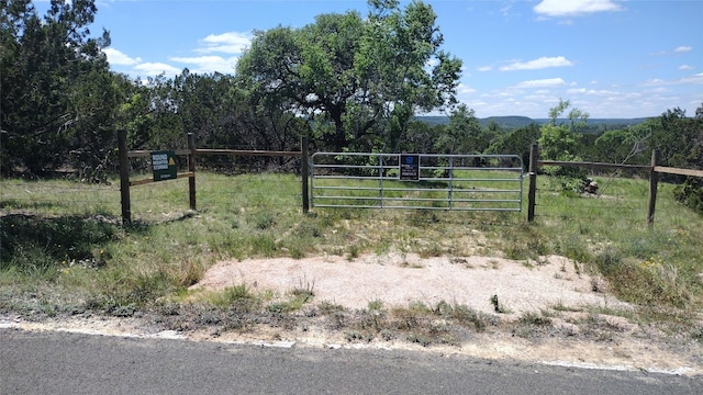 view of yard featuring a rural view