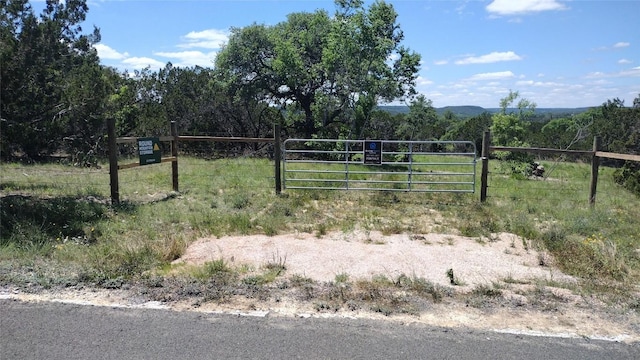 22303 Honeycomb Ln, Leander, TX 78641 - photo 33