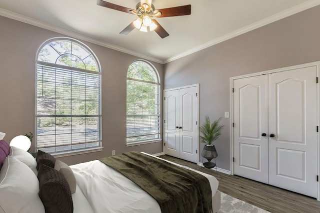 bedroom featuring multiple closets, ornamental molding, wood finished floors, baseboards, and ceiling fan