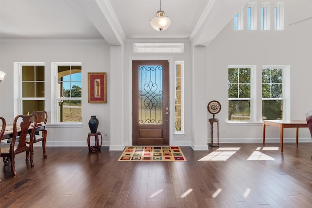 entrance foyer with dark hardwood / wood-style flooring, a healthy amount of sunlight, and ornamental molding