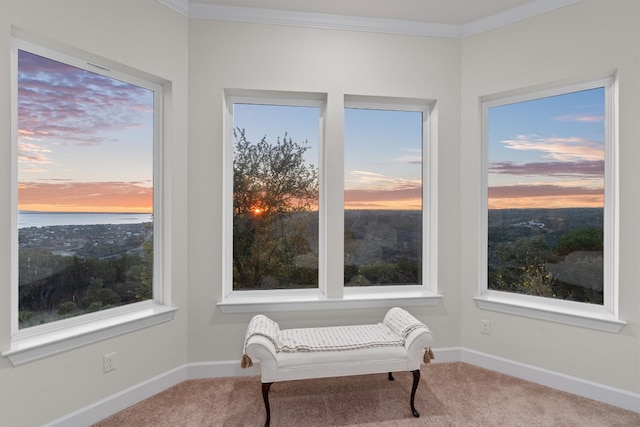 sitting room featuring a wealth of natural light, crown molding, and carpet