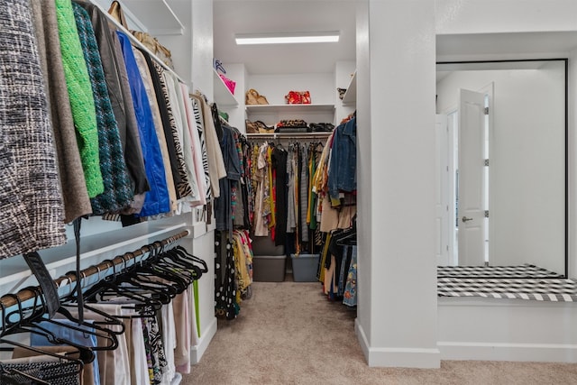 spacious closet featuring light carpet