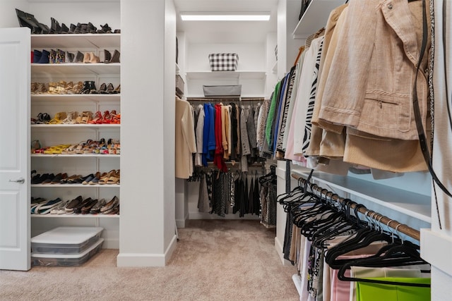 spacious closet with light colored carpet