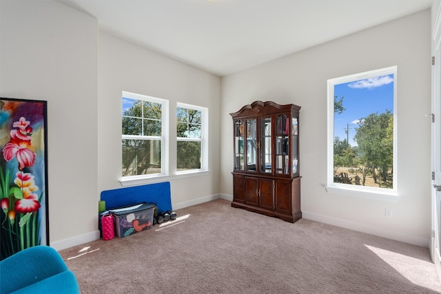 misc room with a wealth of natural light and light colored carpet