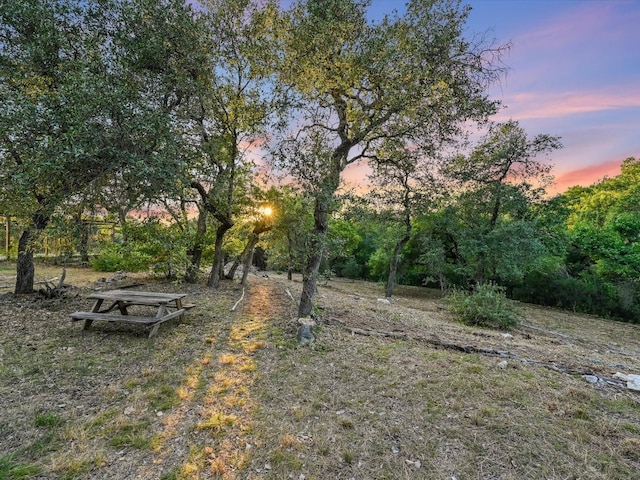 view of yard at dusk