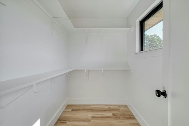 spacious closet featuring hardwood / wood-style flooring