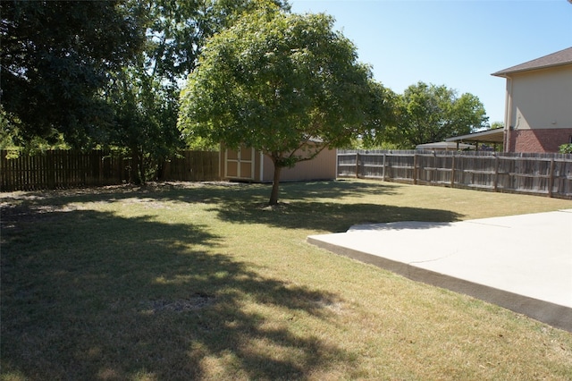 view of yard with a shed and a patio area