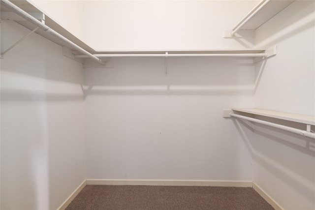 walk in closet featuring dark carpet