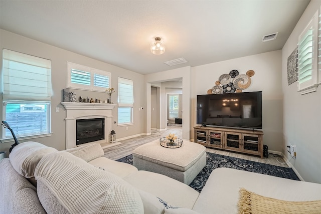 living room with hardwood / wood-style flooring