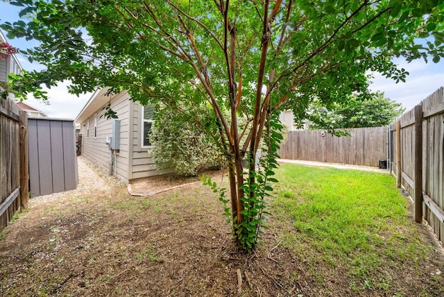 view of yard featuring a storage unit