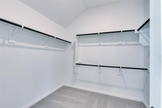 1429 Cole Estates Dr, Georgetown, TX 78628 - spacious closet featuring carpet and vaulted ceiling