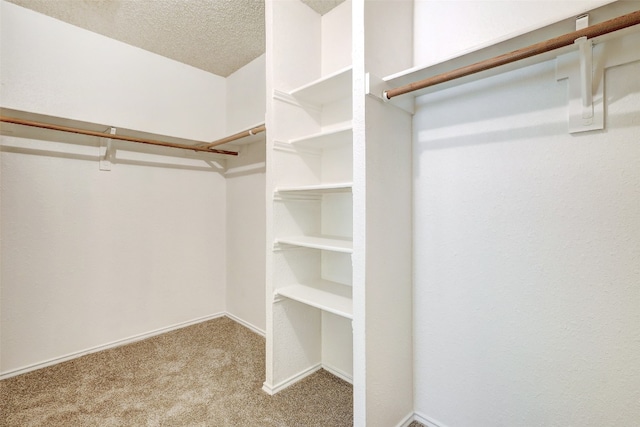 walk in closet with light carpet