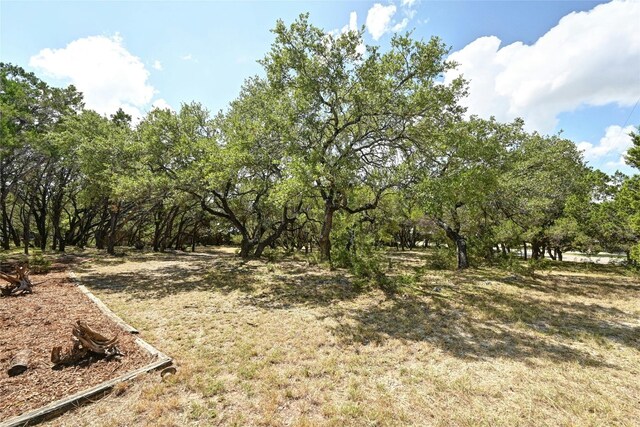 225 Cedar Springs Dr, Wimberley, TX 78676 - photo 3