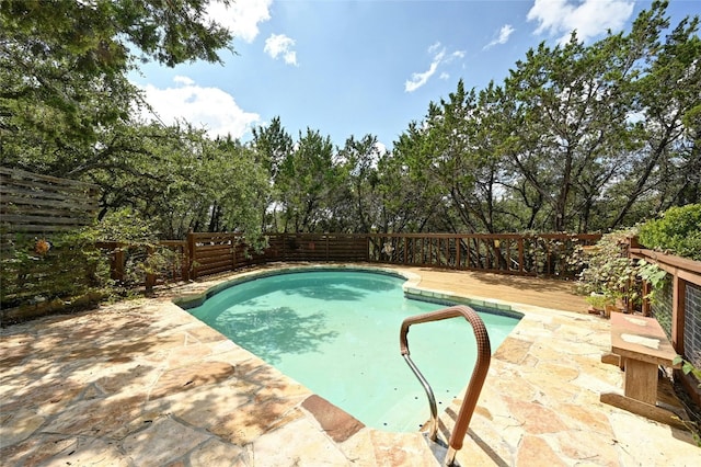 view of pool with a patio area