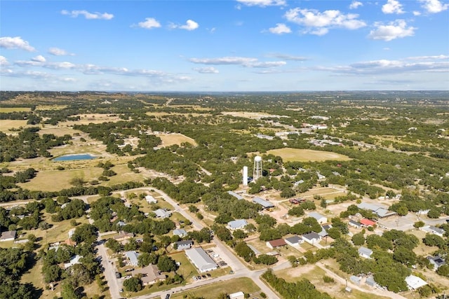 1310 Greenlawn Pkwy, Blanco, TX 78606 - photo 10
