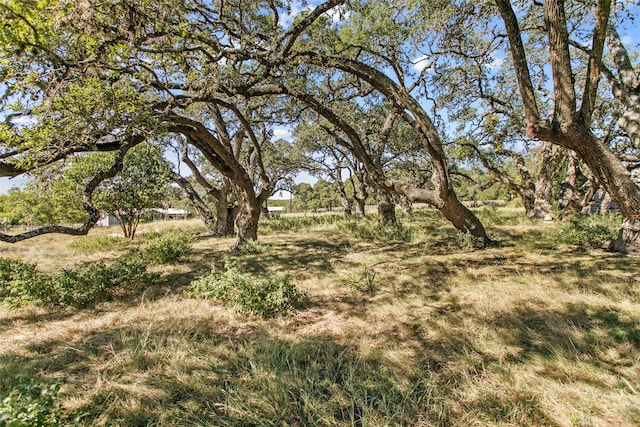 1314 Greenlawn Pkwy, Blanco TX, 78606 land for sale