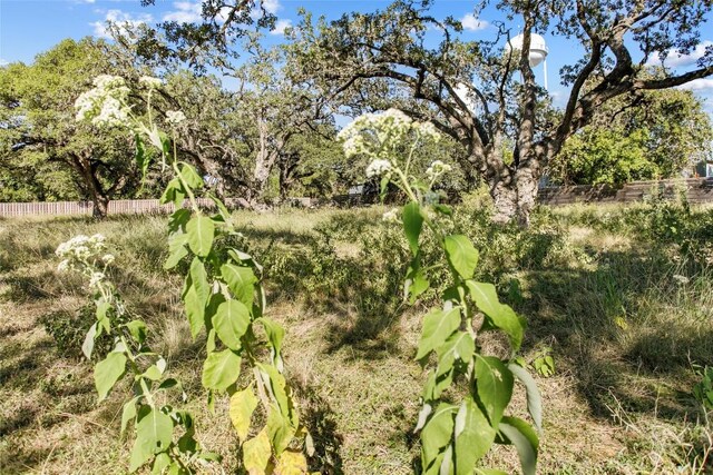 1420 Greenlawn Pkwy, Blanco, TX 88606