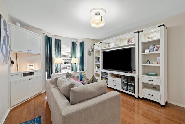 living room with wood-type flooring