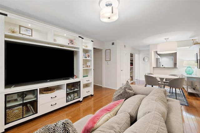 living room featuring wood-type flooring