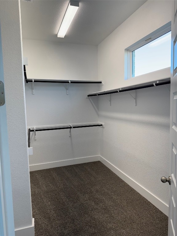 spacious closet with dark colored carpet