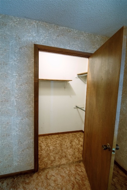 walk in closet featuring carpet flooring