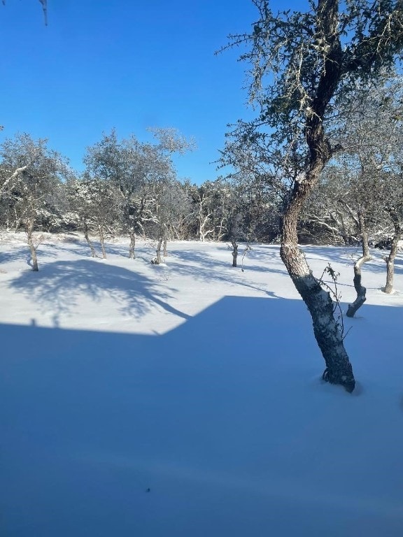 view of yard covered in snow