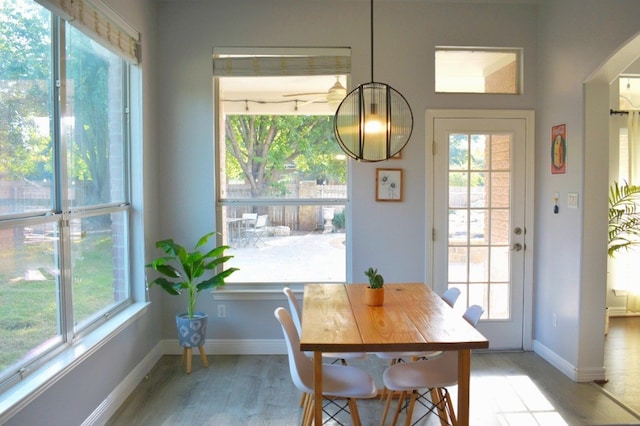 dining space featuring a healthy amount of sunlight and light hardwood / wood-style flooring