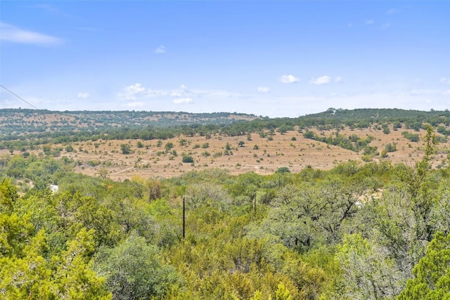 340 Ranch View Rd, Spicewood, TX 78669 - photo 32