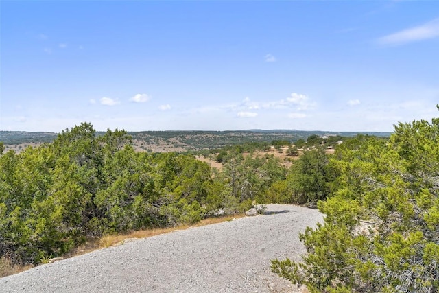340 Ranch View Rd, Spicewood, TX 78669 - photo 33