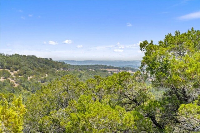 340 Ranch View Rd, Spicewood, TX 78669