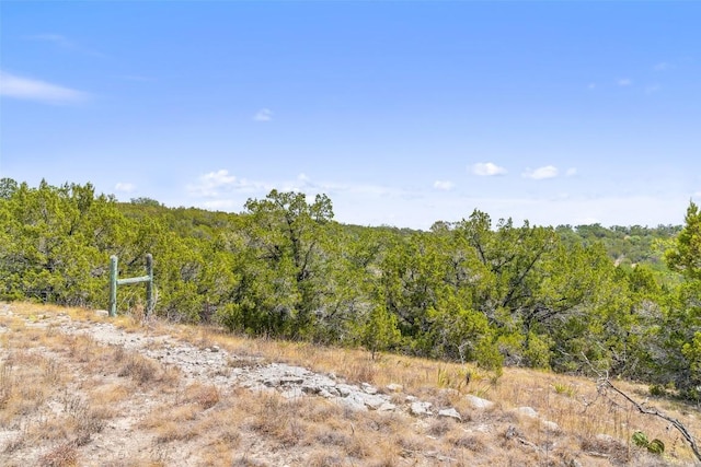 340 Ranch View Rd, Spicewood, TX 78669 - photo 36
