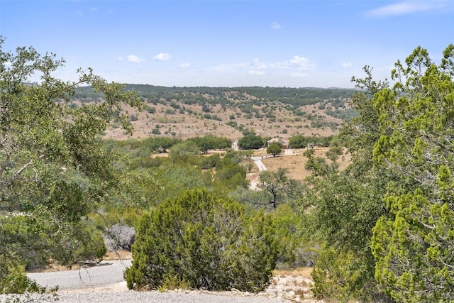 340 Ranch View Rd, Spicewood, TX 78669 - photo 37
