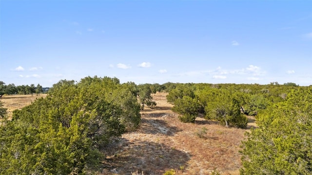 340 Ranch View Rd, Spicewood, TX 78669 - photo 38