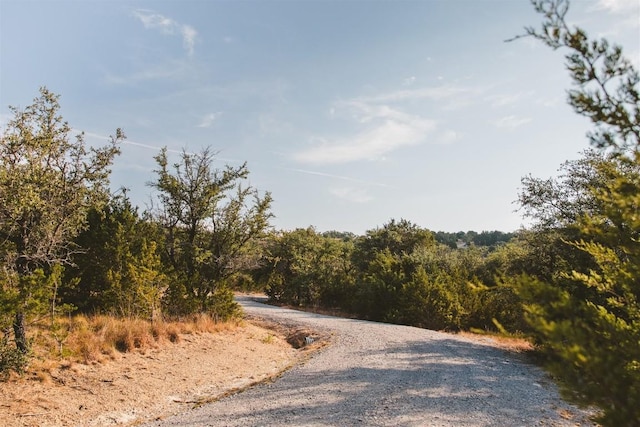 340 Ranch View Rd, Spicewood, TX 78669 - photo 15