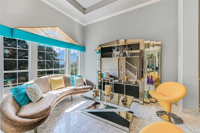 interior space featuring a high ceiling and crown molding