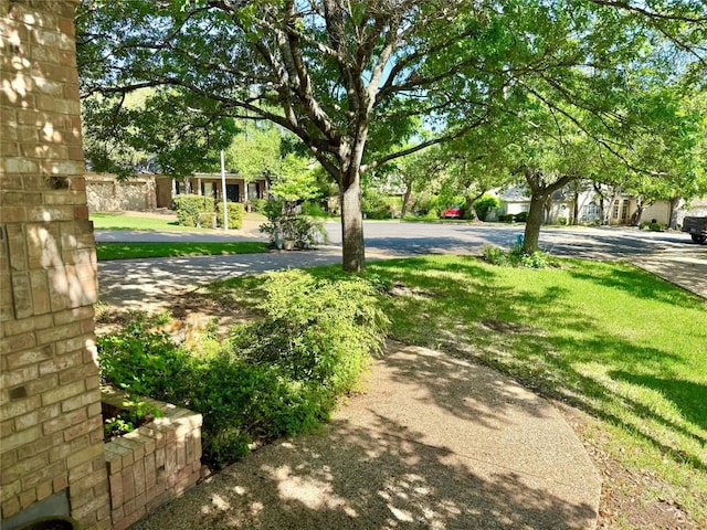 7011 Quill Leaf Cv, Austin, TX 78750 - view of green lawn