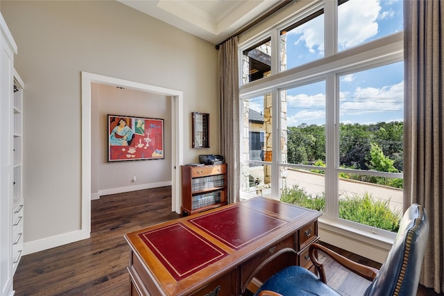 home office featuring dark hardwood / wood-style flooring